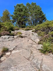 Hiking Trial Ulsetvarden  Geitanuken Åsane Bergen Norway