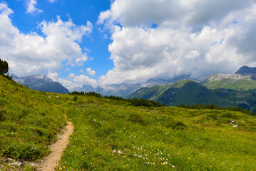 Schafalpe am Rüfikopf in den Lechtaler Alpen, Österreich