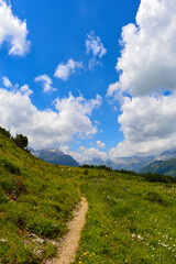 Schafalpe am Rüfikopf in den Lechtaler Alpen, Österreich