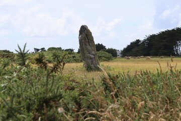 landscape with a menhir in a field 