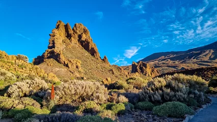 Foto op Canvas Close up on red flower Tajinaste. Scenic view on vunique rock formation Roque Cinchado, Roques de Garcia, Mount El Teide National Park, Tenerife, Canary Islands, Spain, Europe. Hiking trail at sunrise © Chris