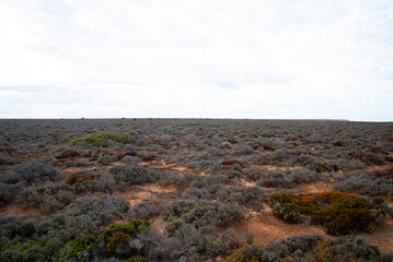 Nullarbor Plain - South Australia