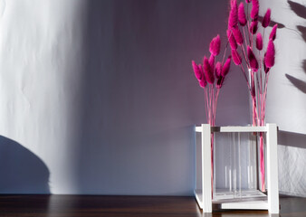 Fototapeta na wymiar Bouquet of purple lagurus in white pedestal with test tubes. White background. Copy space.