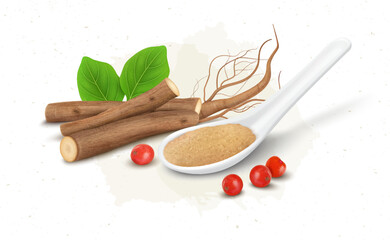 Ashwagandha Herb Dry sticks and Roots vector illustration with ashwagandha powder and berries
