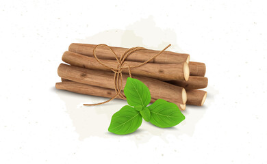 Ashwagandha herb Roots stems vector illustration with green leaves
