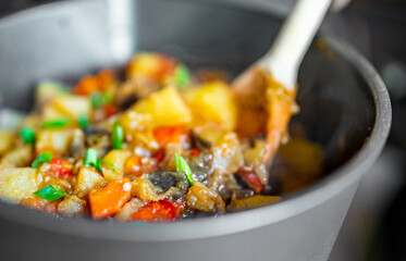 Woman cooking tasty vegetable stew in pan on kitchen
