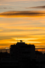 sunrise from the Madrid neighborhood of Hortaleza