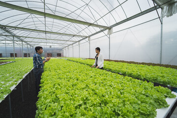 Asian agriculture business trades grow crops farm farmers.horticulture hydroponic industry...