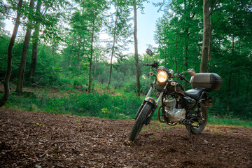 Soft chopper motorcycle in forest
