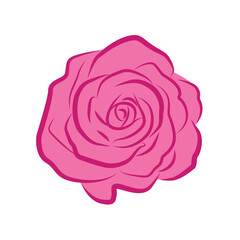 Rose flower vector isolated on a white background.