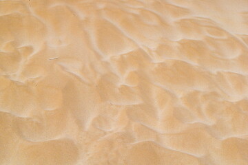 Golden sun texture on the beach