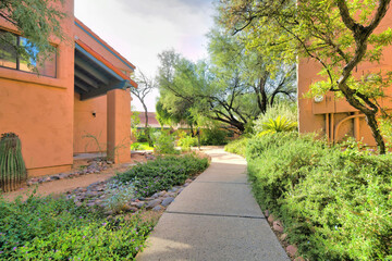 Paved narrow pathway along houses at a peaceful neighborhood on a sunny day