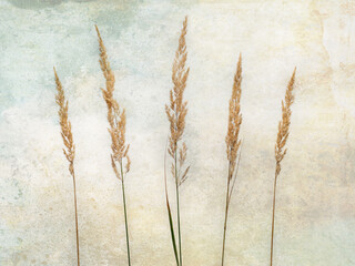 Blades of grass in a row on a textured background