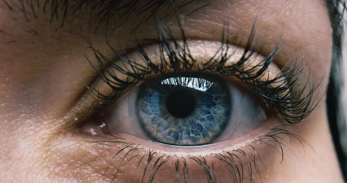 Blue Eye of girl looking at Camera Close Up. Macro Shot front view Opening and Closing Blue Eyes Little Girl. Close Up Motion of famele Eyes. Human eye iris opening pupil.
