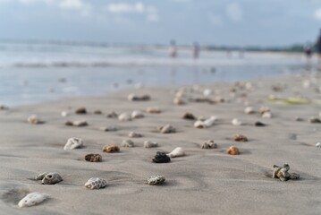  on the beach