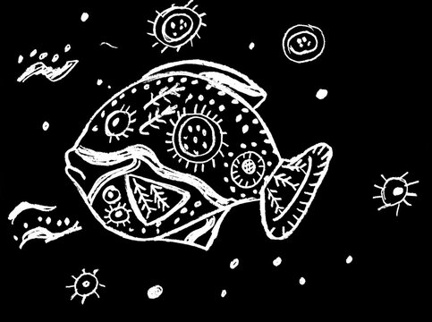 Decorative fish on a black background of white color