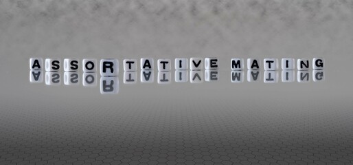 assortative mating word or concept represented by black and white letter cubes on a grey horizon...