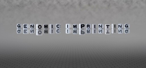 genomic imprinting word or concept represented by black and white letter cubes on a grey horizon...