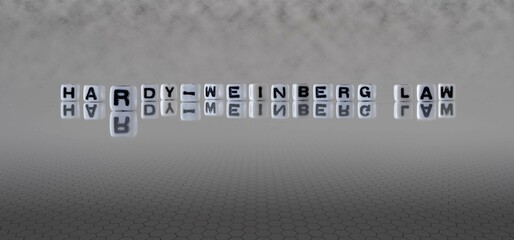 hardy weinberg law word or concept represented by black and white letter cubes on a grey horizon...