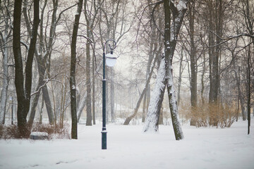 Trees covered with snow in Mikhailovsky garden on cold and snowy winter day in Saint Petersburg, Russia
