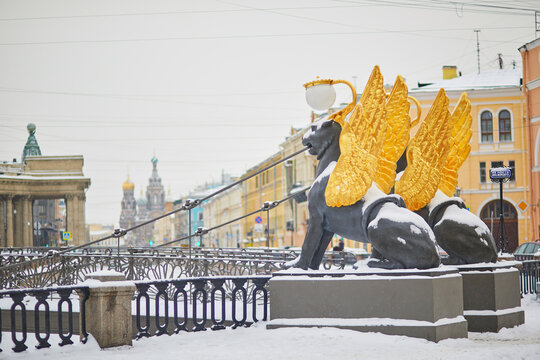 Griffins on Bank bridge on Griboedov canal embankment on a snowy winter day in Saint Petersburg, Russia