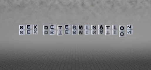sex determination word or concept represented by black and white letter cubes on a grey horizon...