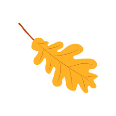 Autumn Leaves Vector Illustration. Autumn leaves. Top view of fall tree leaf. Flat vector
