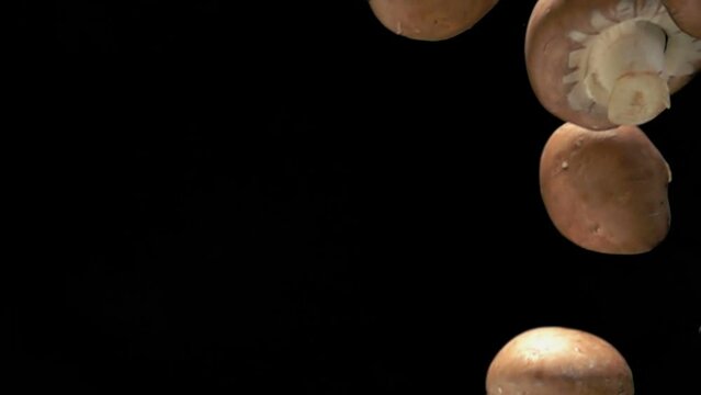 Close-up of brown shiitake mushrooms falling diagonally on the black background