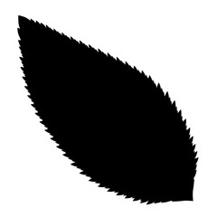 Cherry leaf silhouette, black isolated on white, detailed contour, natural form