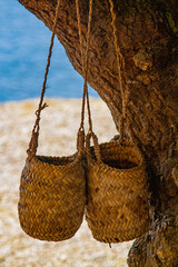 Wicker baskets hanging from a tree near the beach