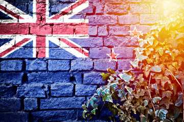 New Zealand grunge flag on brick wall with ivy plant sun haze view