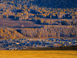 风景（中国、喀纳斯禾木）