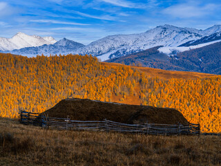 风景（中国、喀纳斯禾木）