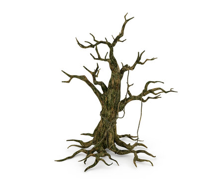 Dead tree isolated on white background, 3D rendering