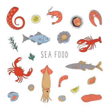 Sea food set. Flat hand drawn vector images for your design.