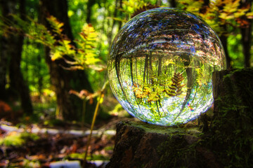 Fototapeta na wymiar Lensball - Natur - Kristallkugel - Transparenz - Zerbrechlich - Ecology - Crystal Glass Sphere - Bioeconomy - Creative - Reflection - High quality photo with Copy Space