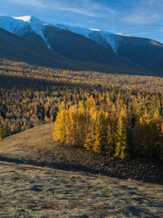 风景（中国、喀纳斯禾木）