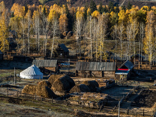 风景（中国、喀纳斯禾木）