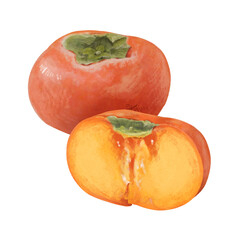 リアルで優しいタッチの柿のイラスト　日本　アジア　フルーツ　精密画　絵画風　細かい