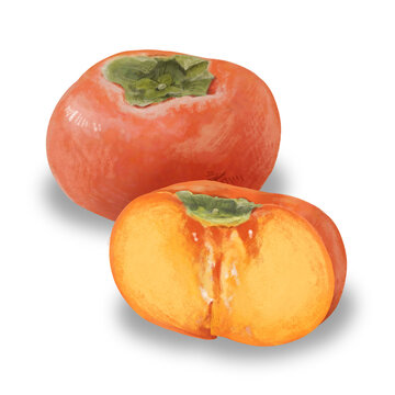 たねなし柿 の画像 3 850 件の Stock 写真 ベクターおよびビデオ Adobe Stock