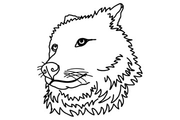 Wolf Head Line Art Vector