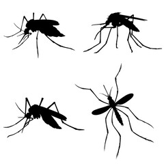 set of mosquito silhouettes