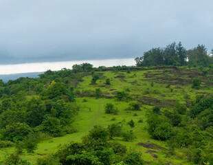 Green mountain of posadi gumpe , Kerala, India