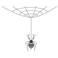 Spider insect on the web. Decorative ornate  design. Geometric insect vector illustration in flat style