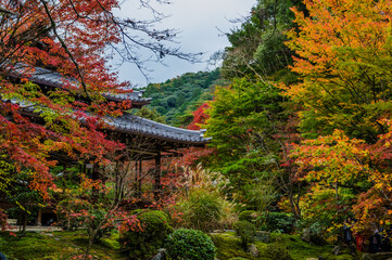 京都の秋
