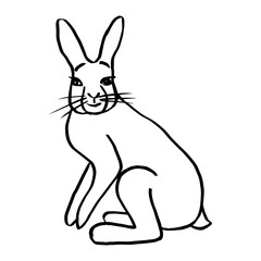 Fototapeta na wymiar Hare contour drawing. Rabbit doodle, sketch illustration. Sitting rabbit on hind legs, front legs raised, small tail, looking straight ahead. Coloring book, logo, icon, wild animal, Easter postcard