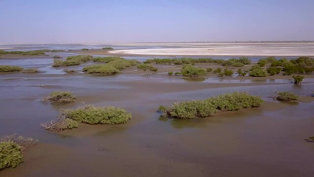 Aerial footage of Saloum river delta with tiny islands from mangroves and large sandy patches covered in salt, going sideway along river.