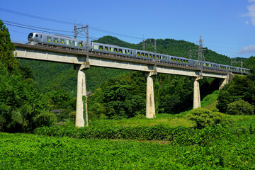 武甲山麓の橋梁を快走する西武特急Laview