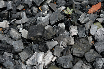 selective focus of pile of dried wood charcoal 