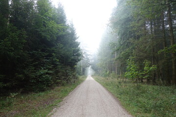 Obraz premium Schöne Landschaft in Donau-Ries